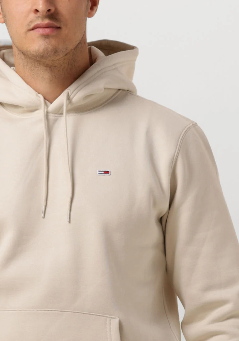 TOMMY JEANS beige tommy jeans sweater tjm regular fleece hoodie