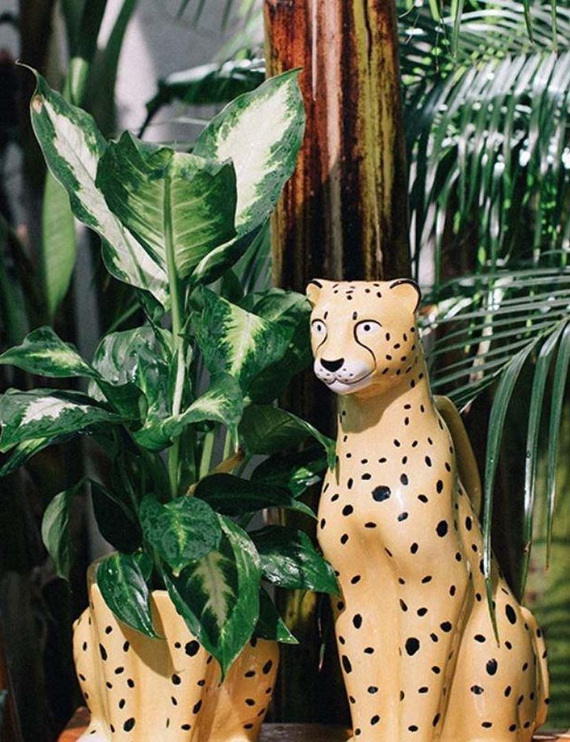 Urban Jungle Cheetah Pot