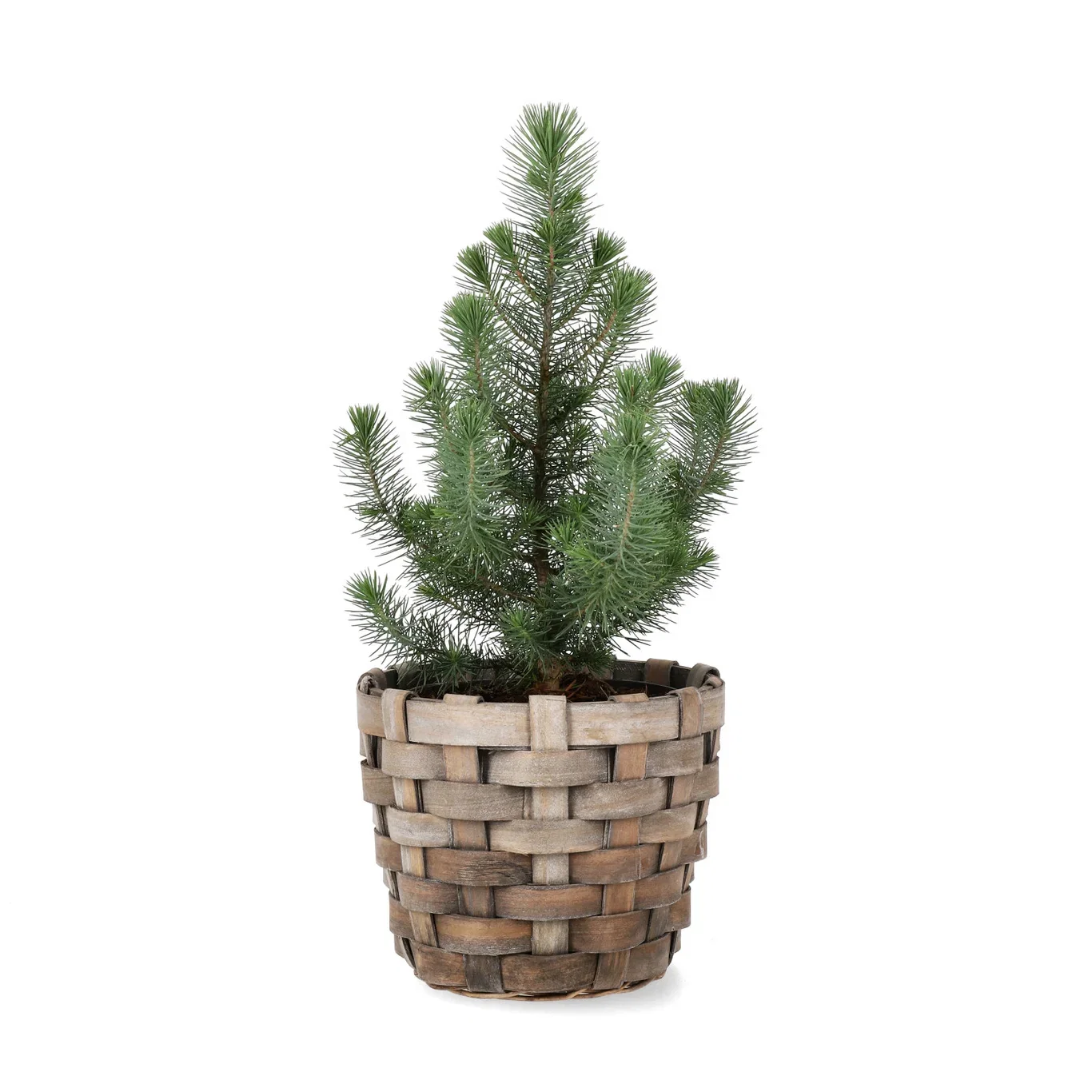 Plantagen Kurv i tre Ø21 cm