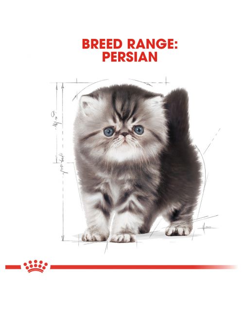 Royal Canin Persian Kitten - Kitten-Kattenvoer - 2 kg