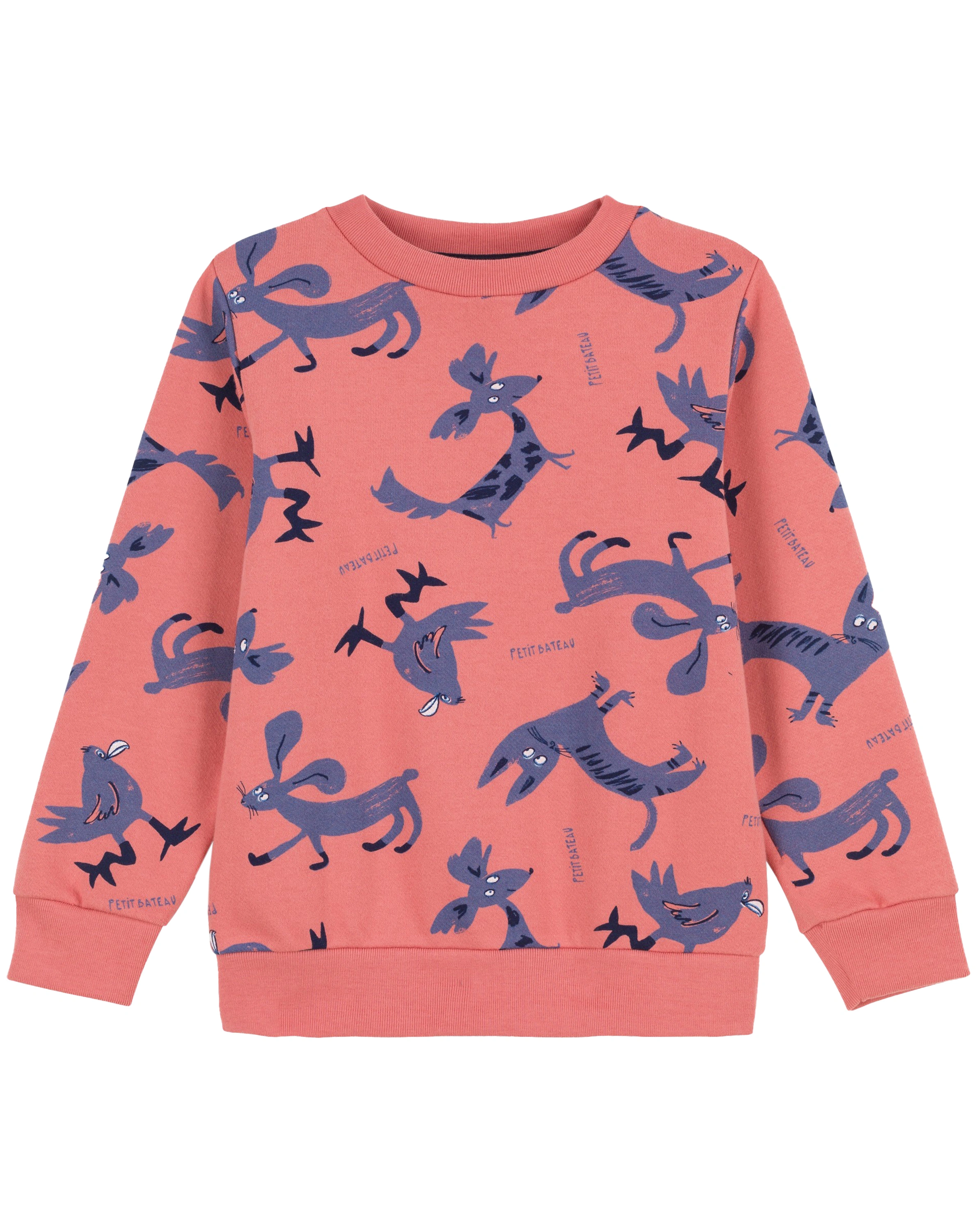 Sweatshirt BICHON in papaye/multico