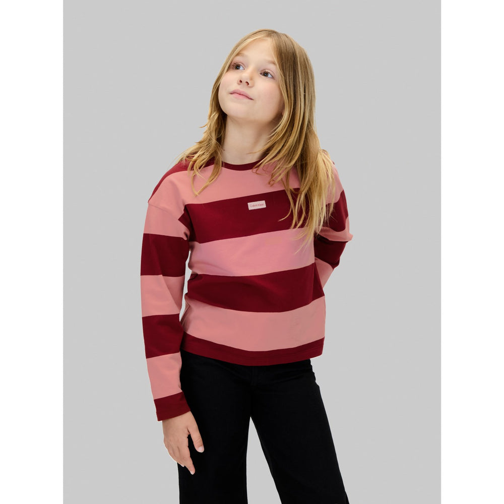 Køb Calvin Klein Raspberry Chocolate / Apricot Cn Stripe Ls T-Shirt