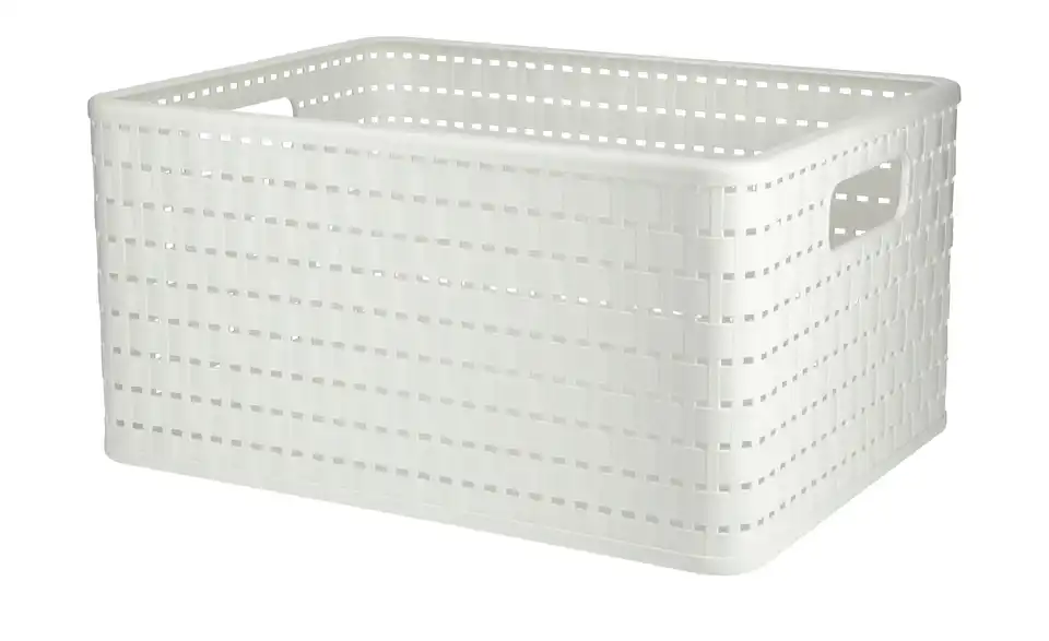 Rotho Aufbewahrungsbox 27,8 cm