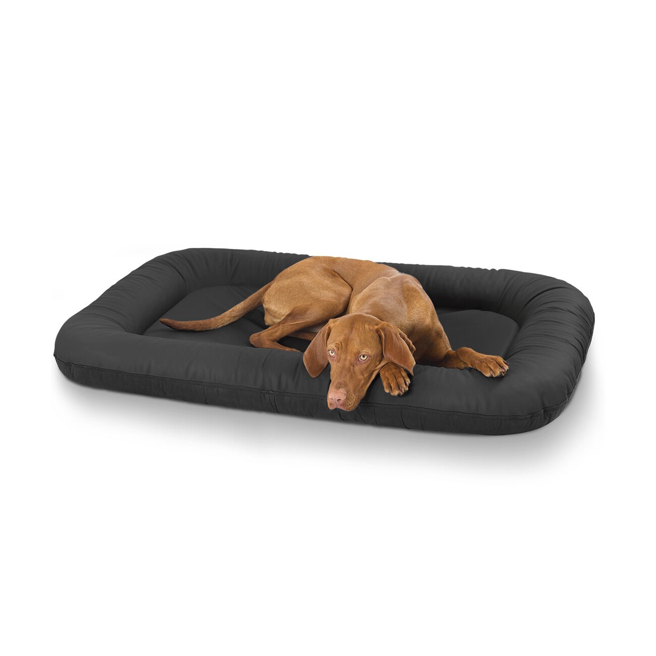 Knuffelwuff Kunstleder Hundebett Jerry schwarz XL
