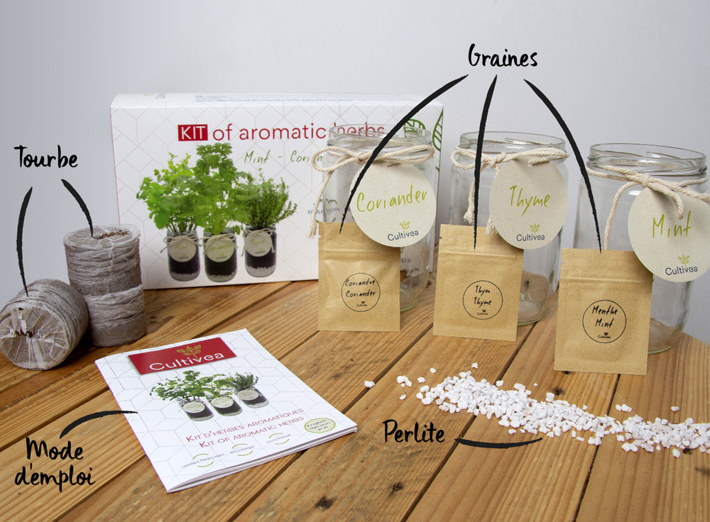 Kit d'herbes aromatiques bio – (menthe, coriandre, thym)