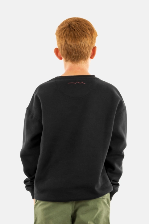 Sweat teddy smith squa 133a charbon