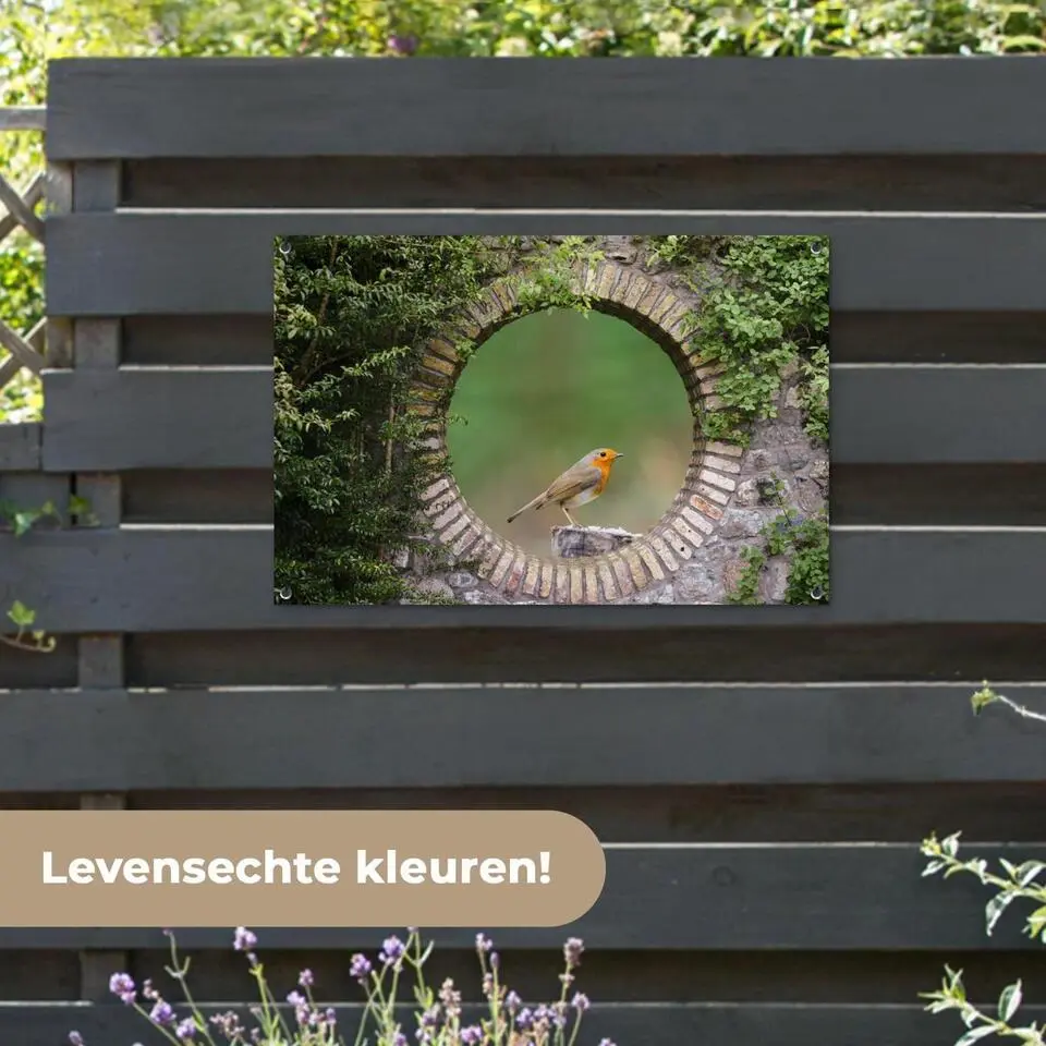 MuchoWow Tuinposter 90x60cm Vogel Doorkijk Roodborstje