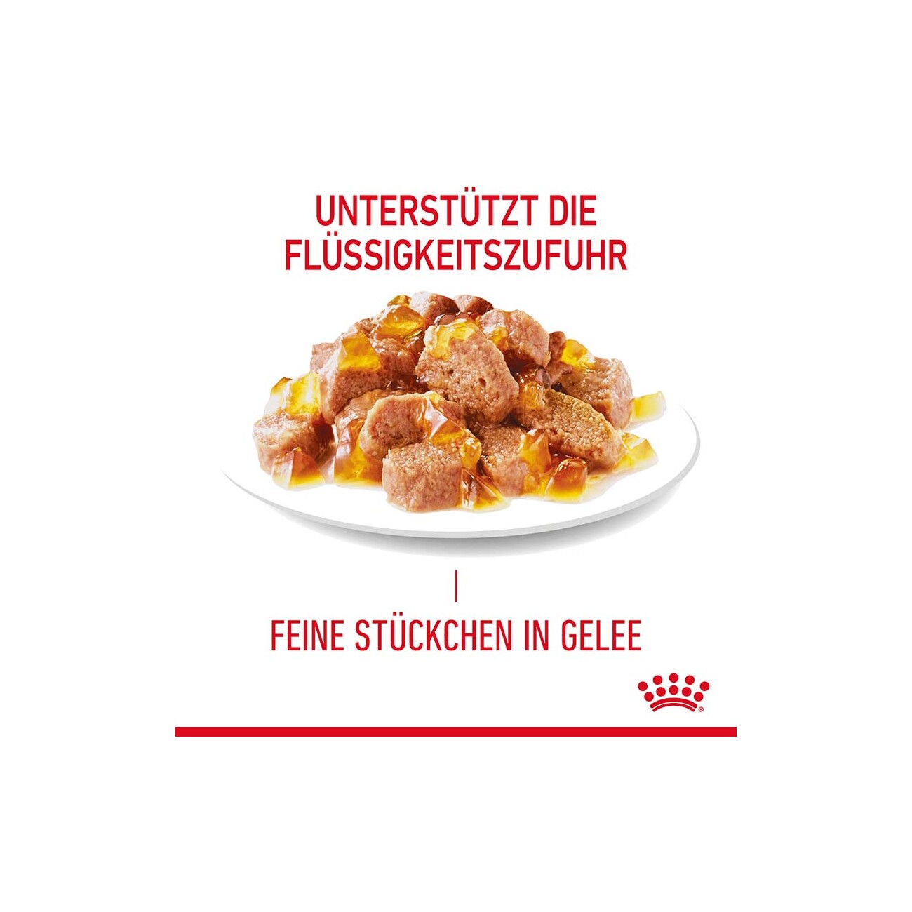 ROYAL CANIN Hair & Skin in Gelee 12x85 g