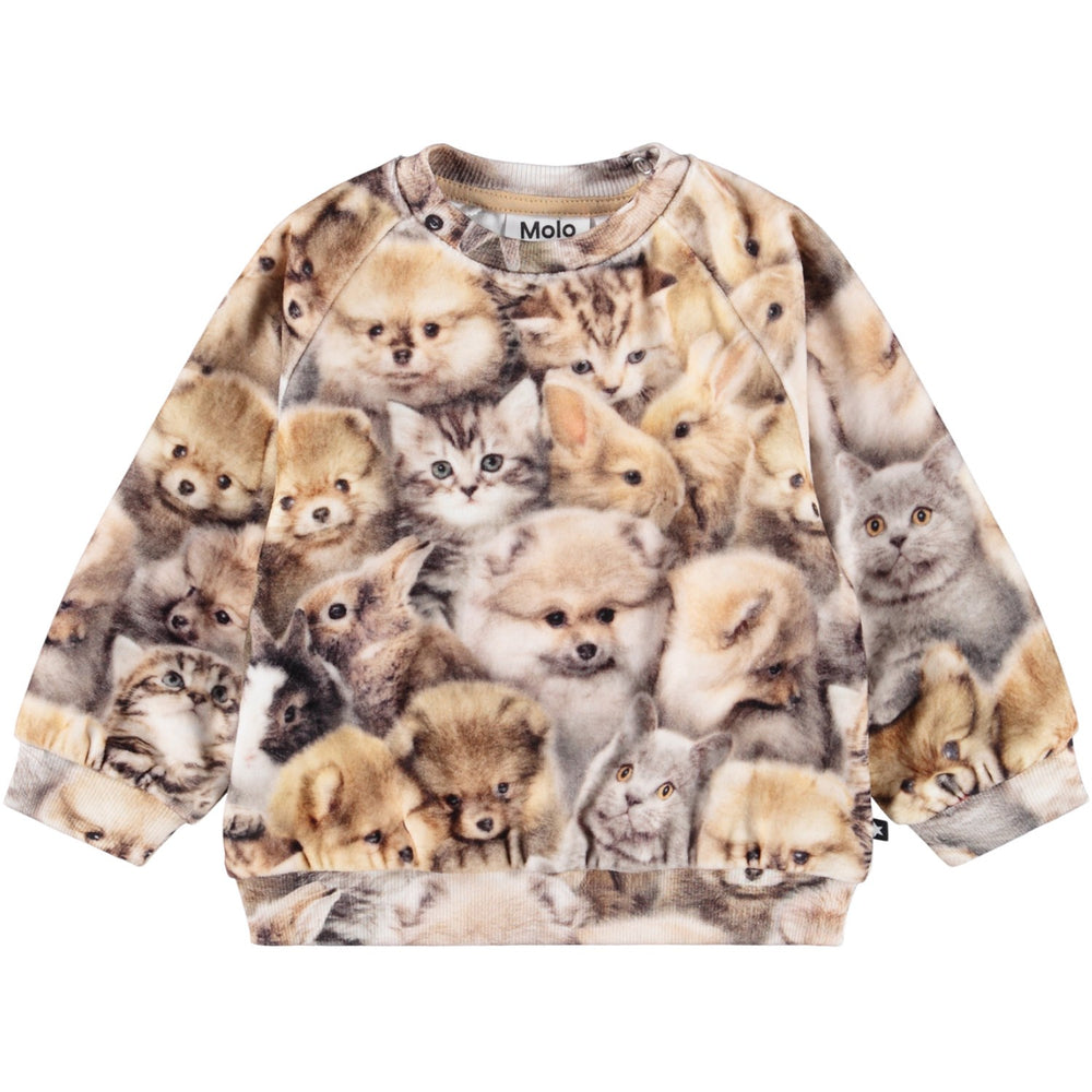Køb Molo Fuzzy Fluffy Disc Sweatshirt