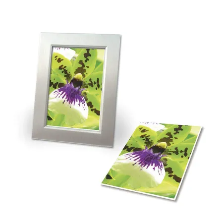 Avery Zweckform 2559-20 Premium Inkjet Fotopapier, DIN A4, einseitig beschichtet, 250 g/m², 20 Blatt