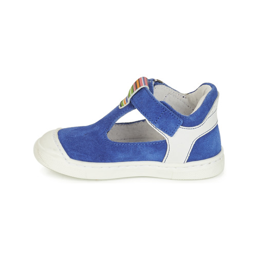 André - BELUGA - Bleu