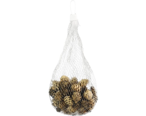 Natuurlijke dennenappels 1,5-2 cm 75g