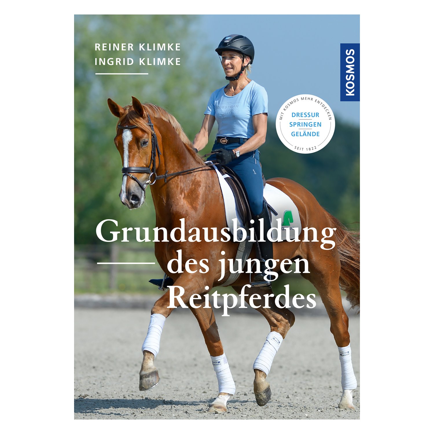 Grundausbildung des jungen Reitpferdes
