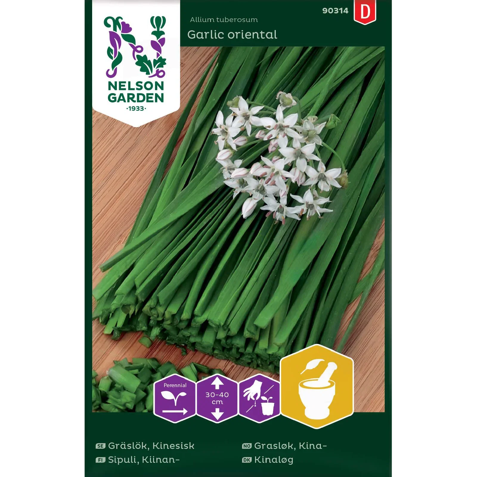 Allium tuberosum 'Garlic oriental' Kina grasløk 'Garlic oriental'