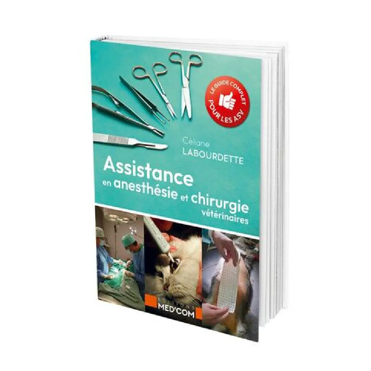 Assistance en anesthésie et chirurgie vétérinaires : le guide complet pour les ASV