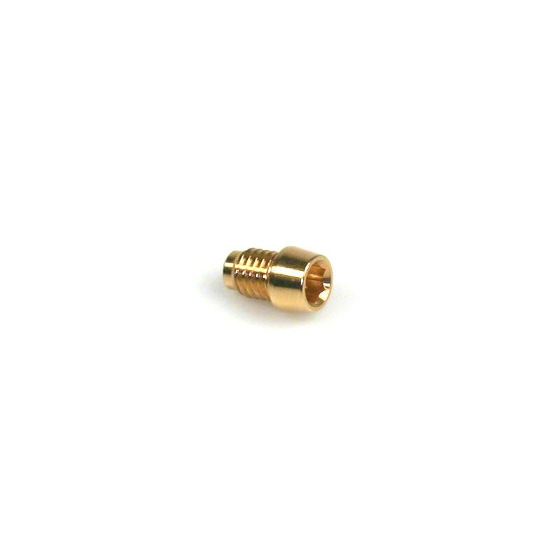 Einblasdüse für Valtek T37 Rail