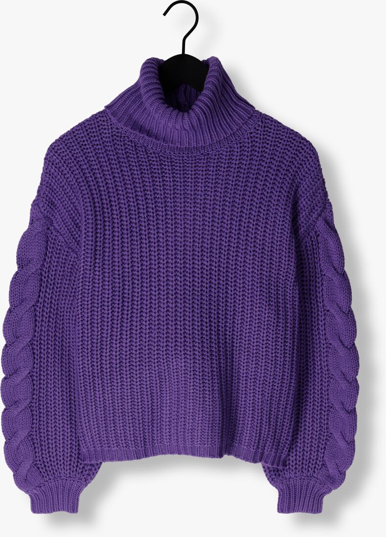 Y.A.S. paarse y.a.s. coltrui yassanne ls knit rollneck pullover