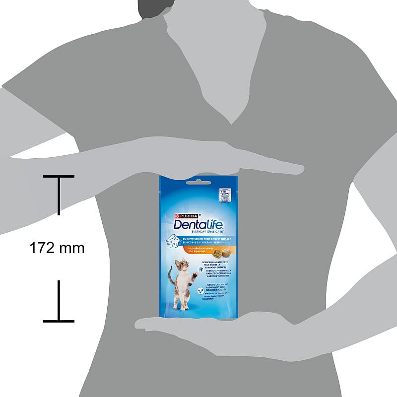 Purina DentaLife Kat | Kip - 40 gram | 12978