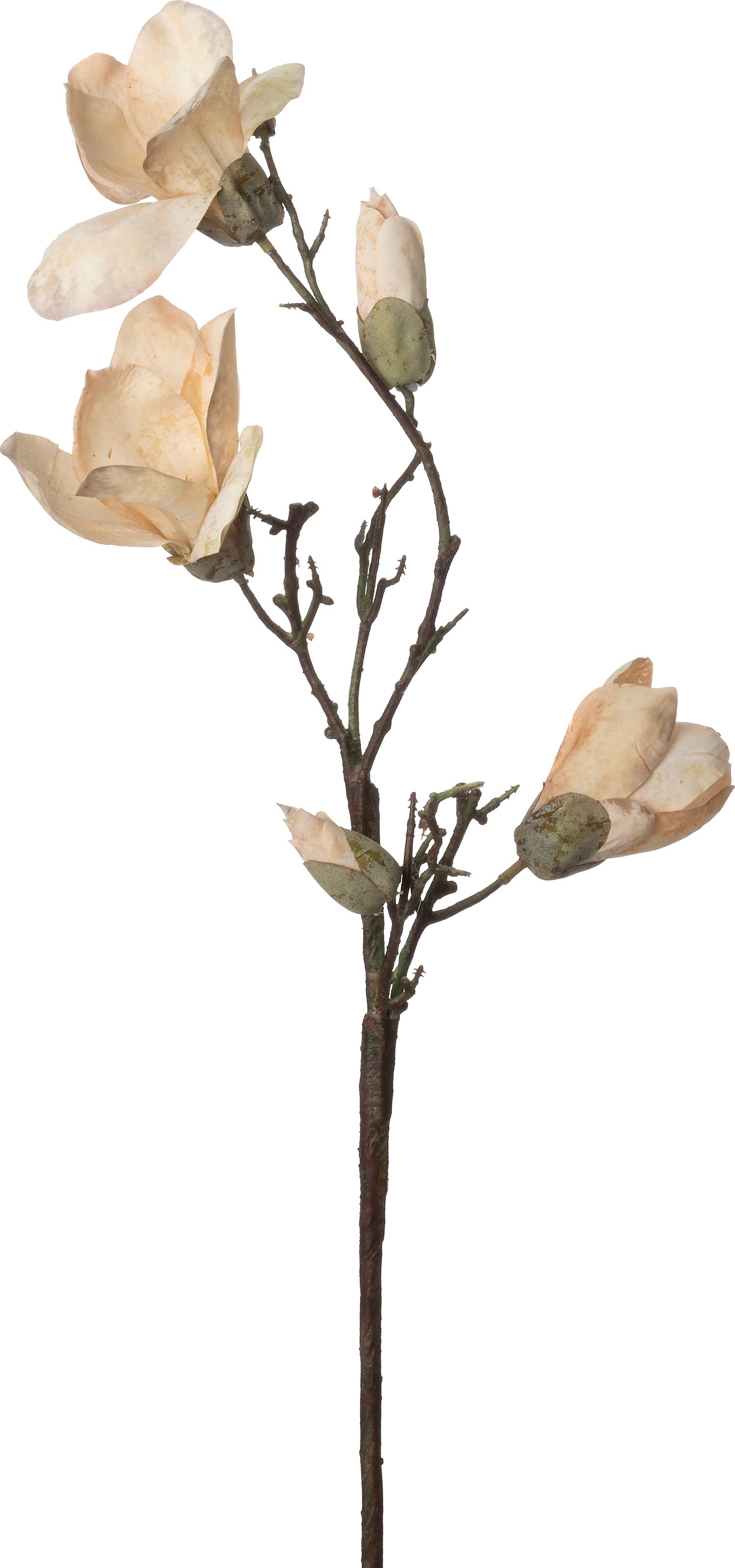 Intratuin kunstbloem Magnolia crème 84 cm