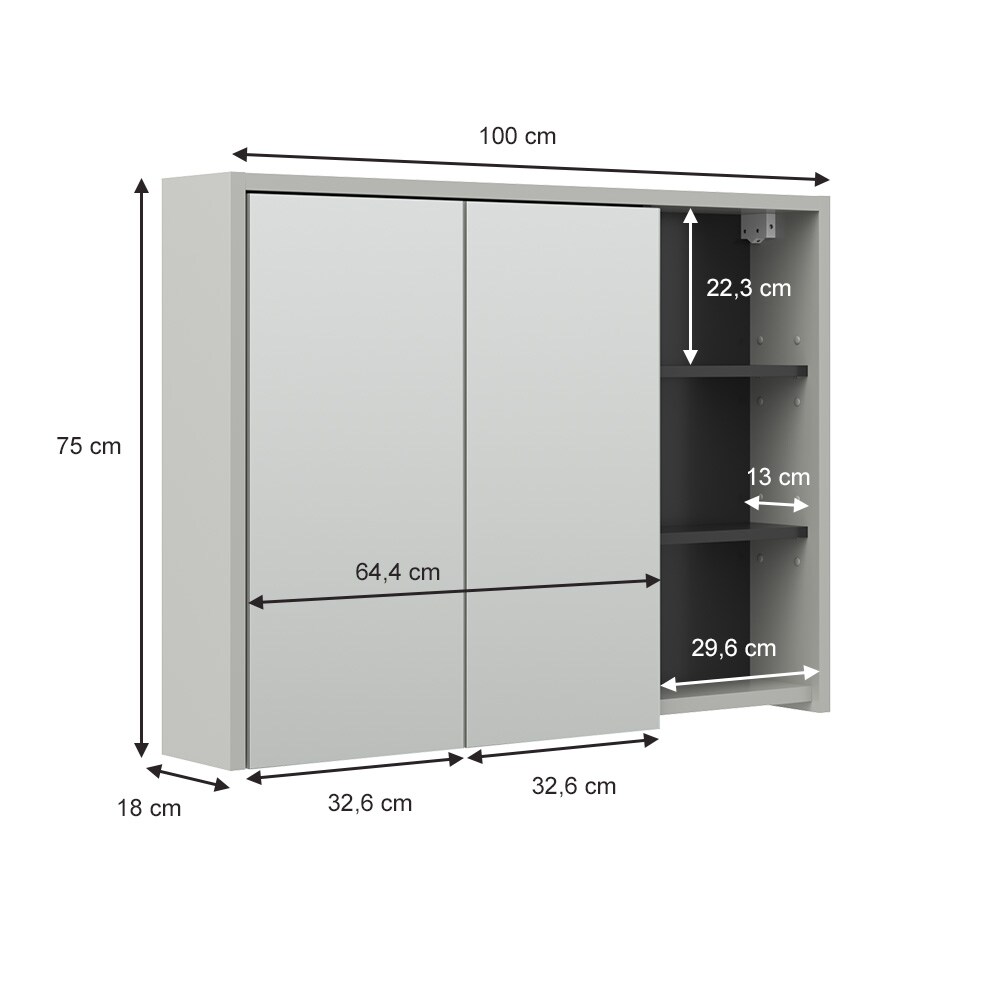 Vicco Spiegelschrank Badschrank Badezimmermöbel Viola Grau Anthrazit modern 100x75 cm Badspiegel Badezimmer Schrank Badmöbel Schranktür Schrankfach
