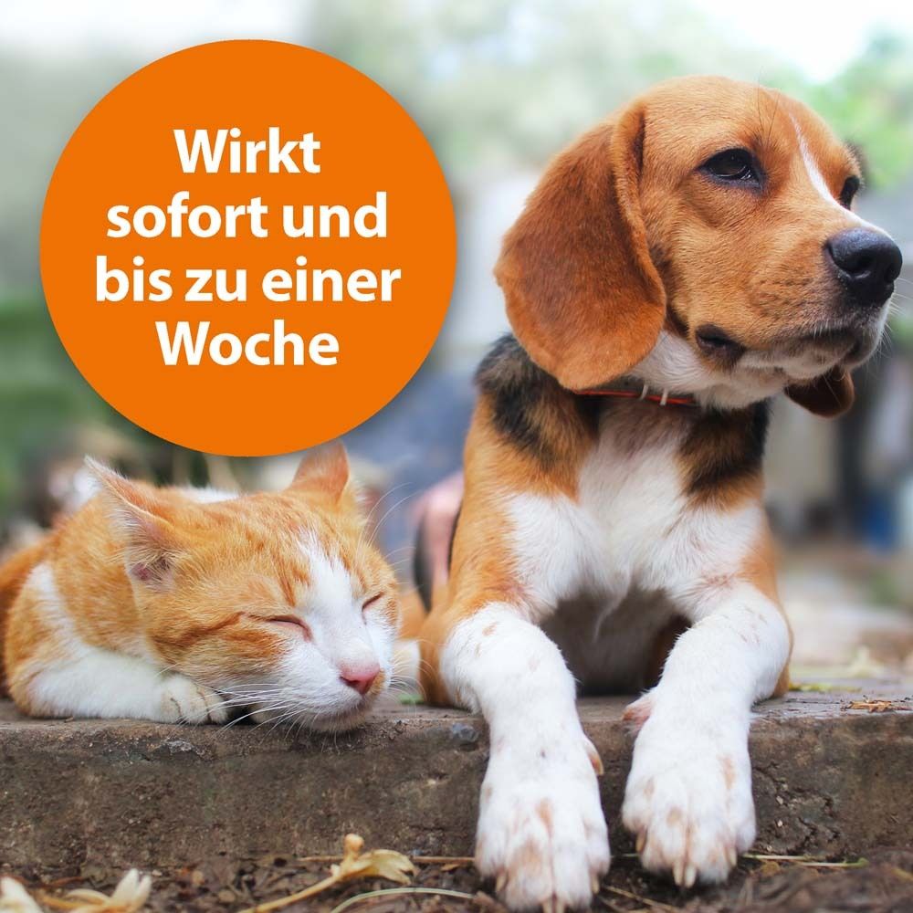 ARDAP® Zecken- und Flohpuder