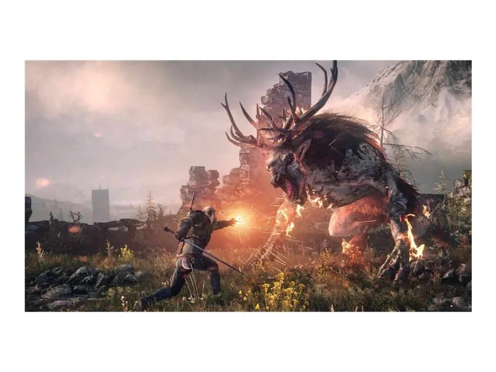 The Witcher 3 Wild Hunt - Game Of The Year Edition - PlayStation 4