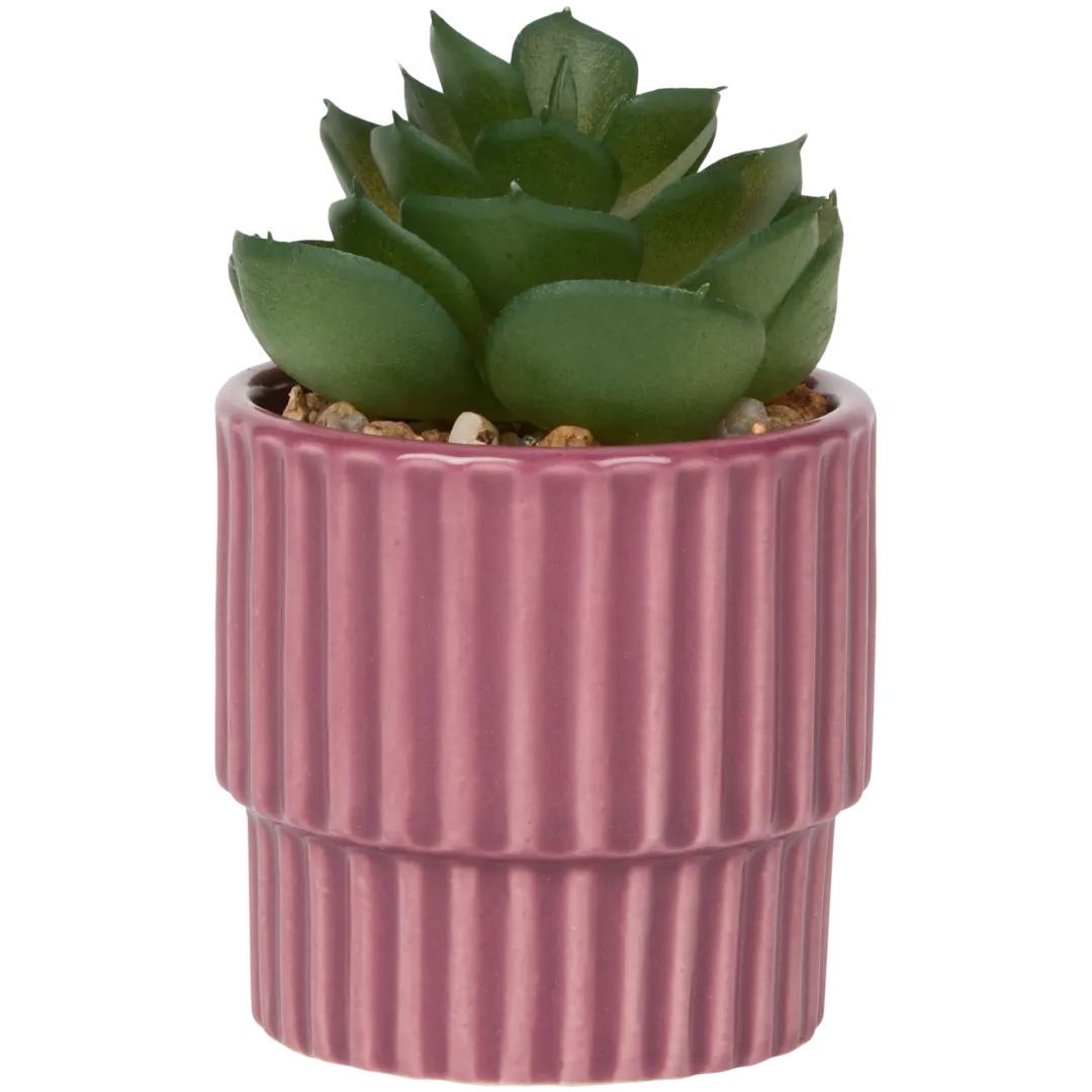 Kunstvetplantje in pot Diverse varianten
