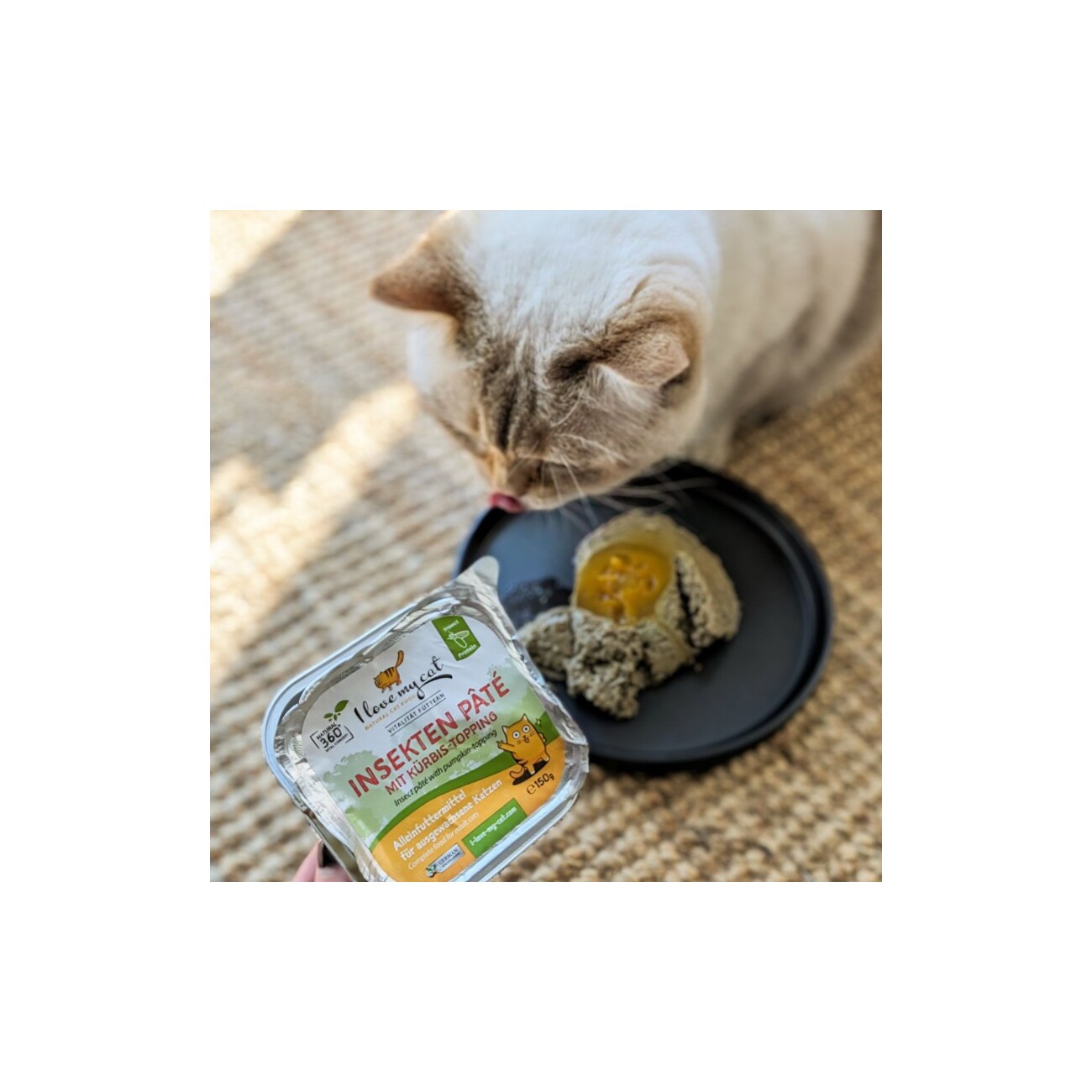 I love my cat Insekten Pate mit Kürbis-topping