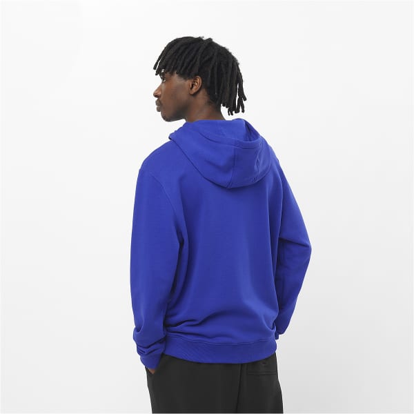 Sweatshirt SALOMON LOGO PERFORMANCE HOODIE SURF THE WEB