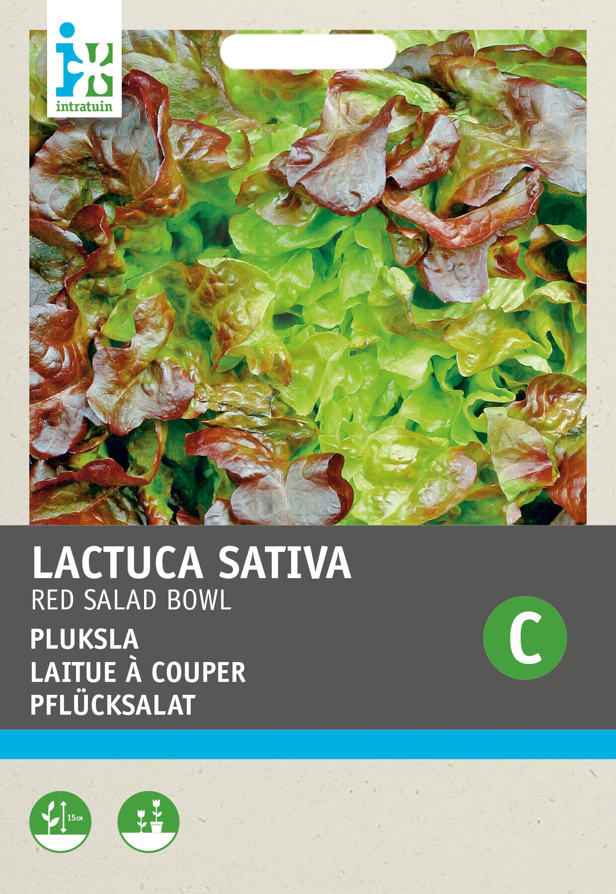 Intratuin groentezaad Rode Eikebladsla (Lactuca sativa 'Foliosa')
