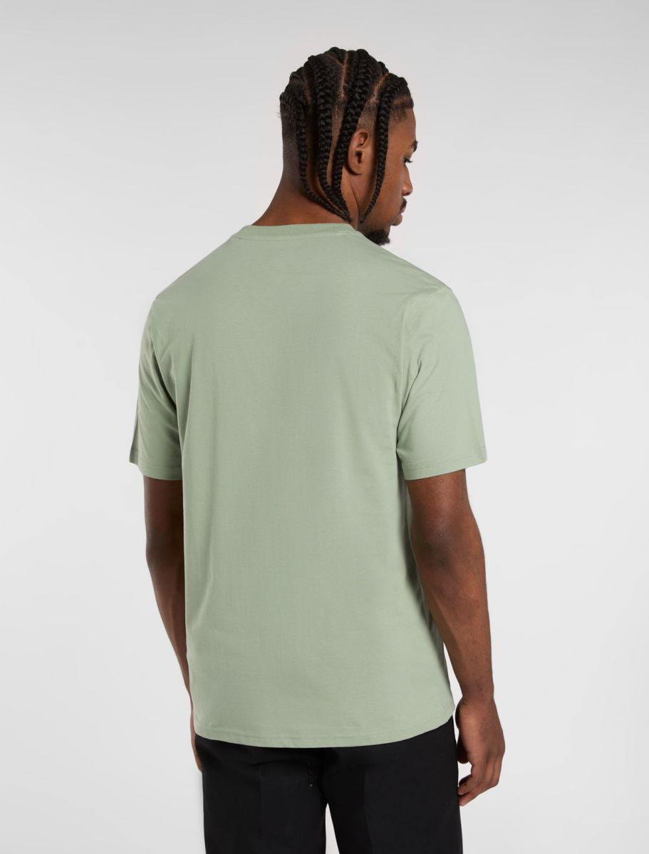 Dickies SS Mapleton T-Shirt Iceberg Green