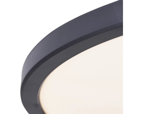 LED plafondlamp 35W 4000 lm 3000 K HxØ 2,5x54 cm Brennan zwart