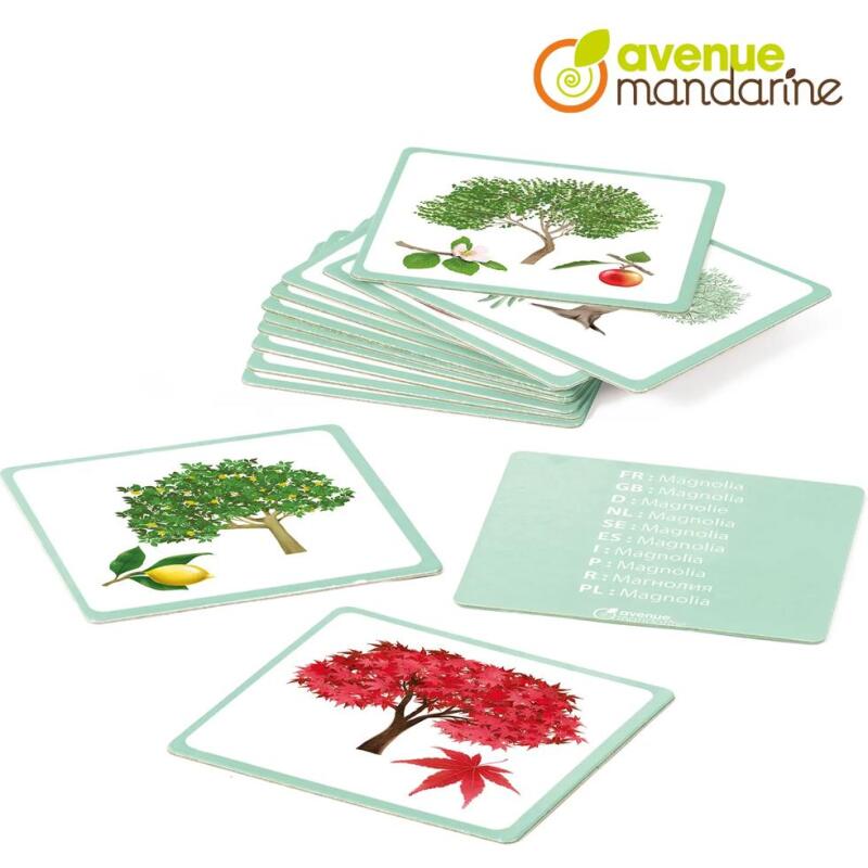 Imagier, Arbres - Multicolore