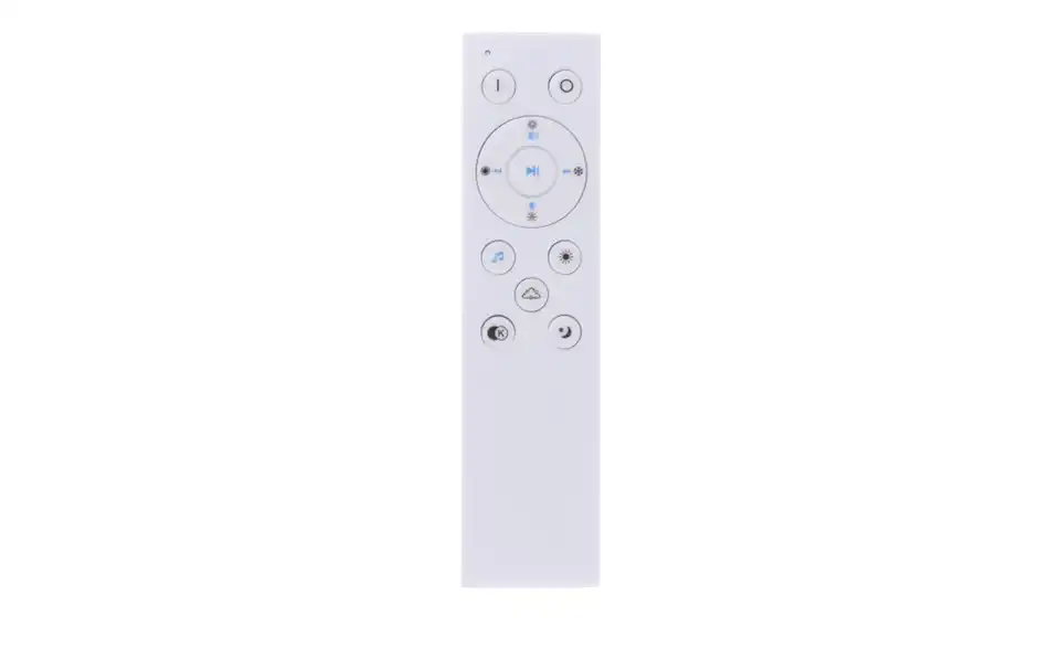 LED Deckenleuchte 1-flammig