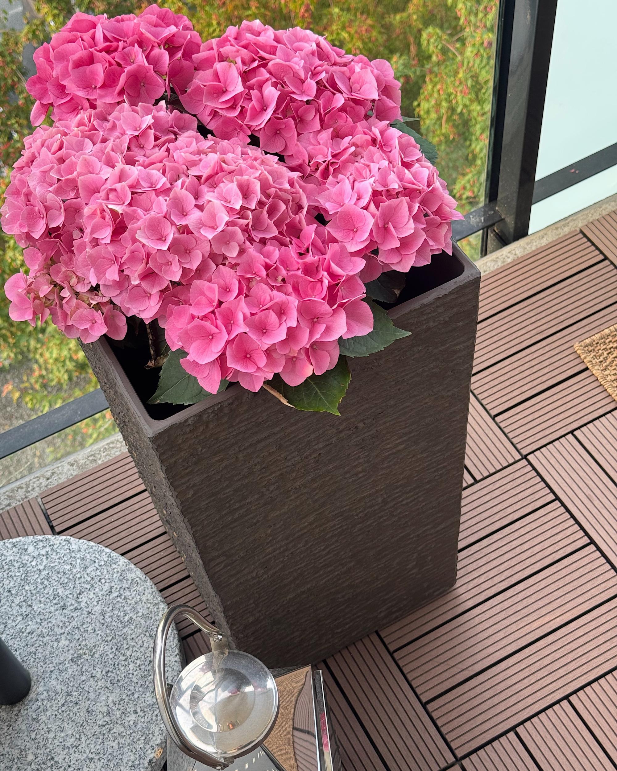 Buitenvloeren ATELETA Hout-kunststof-composiet (WPC) Bruin