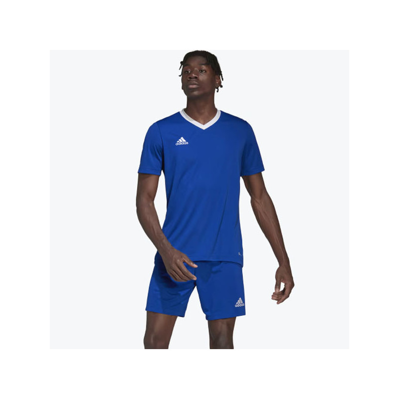 Tee-shirt sport Adidas Teamwear