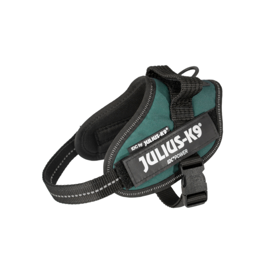 Coleira para cães Julius K-9 IDC verde