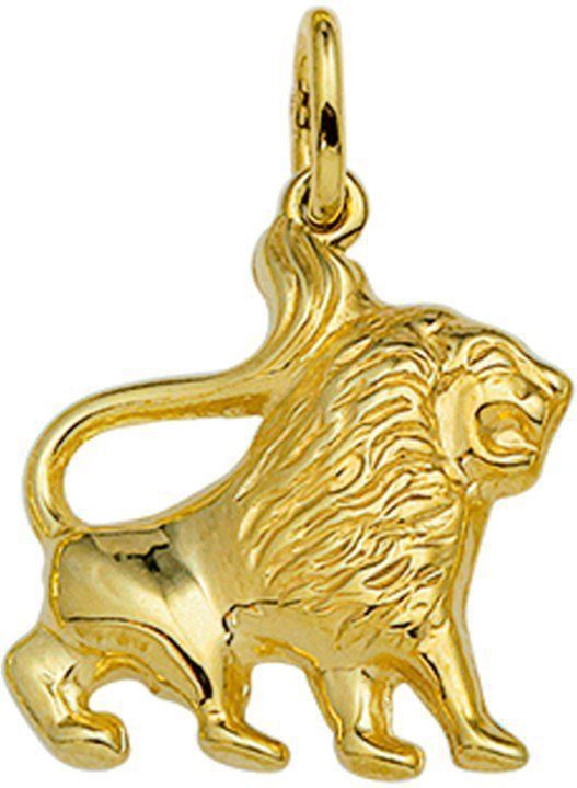 hanger sterrenbeeld 14K geelgoud 4006500