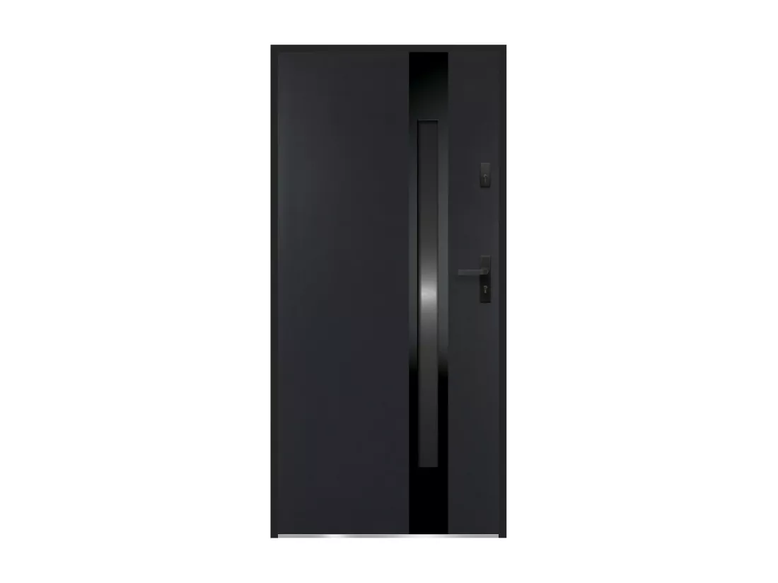 Porte d'entrée en acier pleine et inox H207 x L100 cm - verre fumé - noir et anthracite - poussant gauche - BRAGA