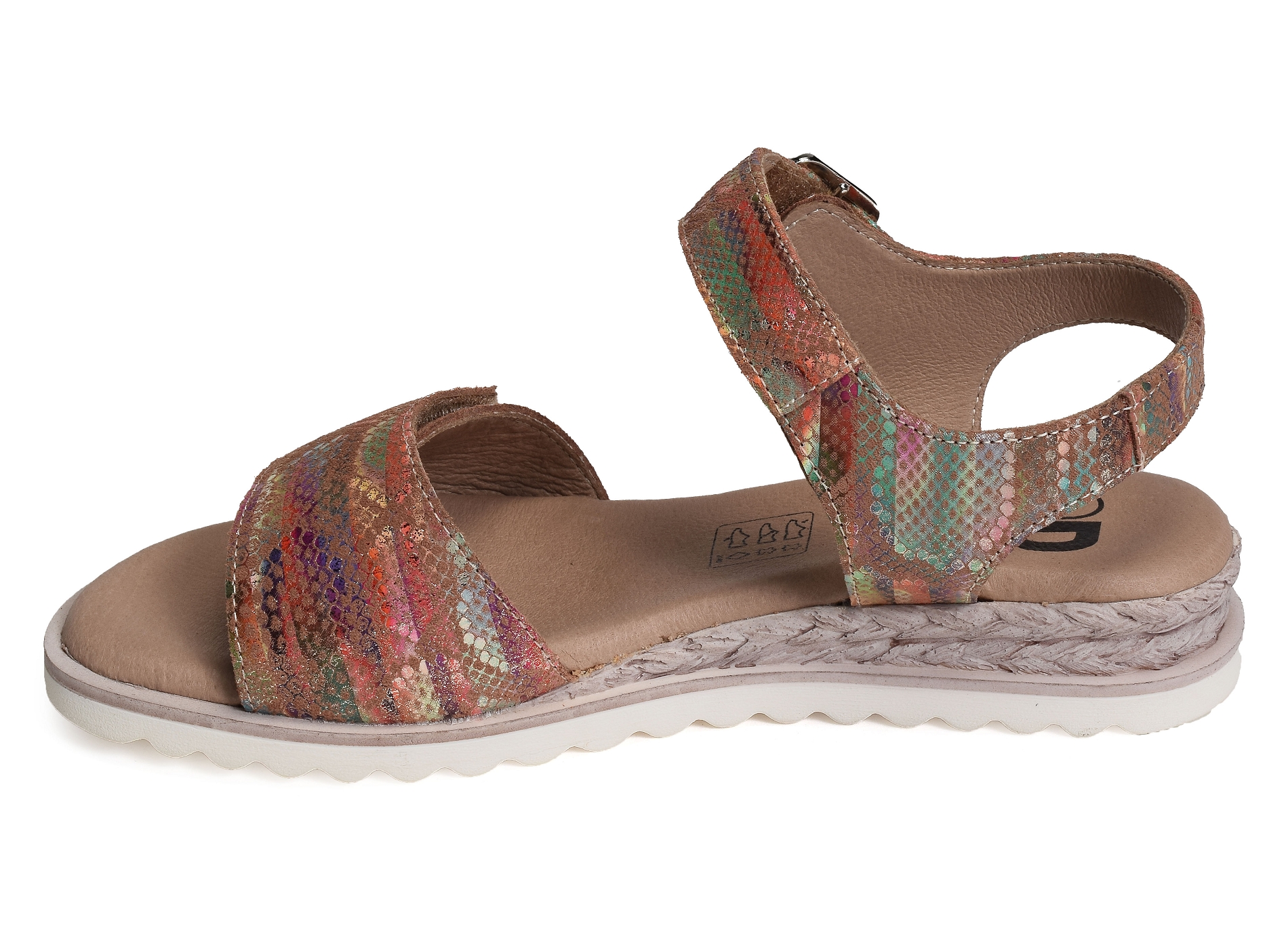 Xiada multicolore