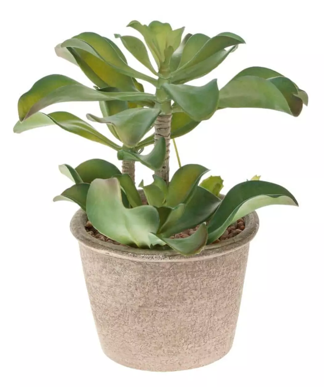 Kunstpflanze Sukkulente 25 cm