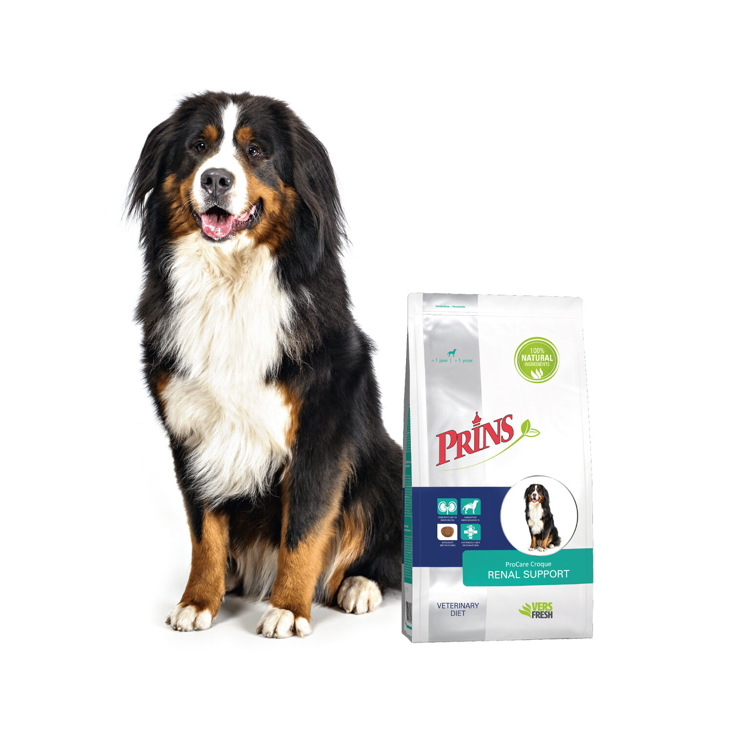 Prins ProCare Croque  Veterinary Diet - Renal Support