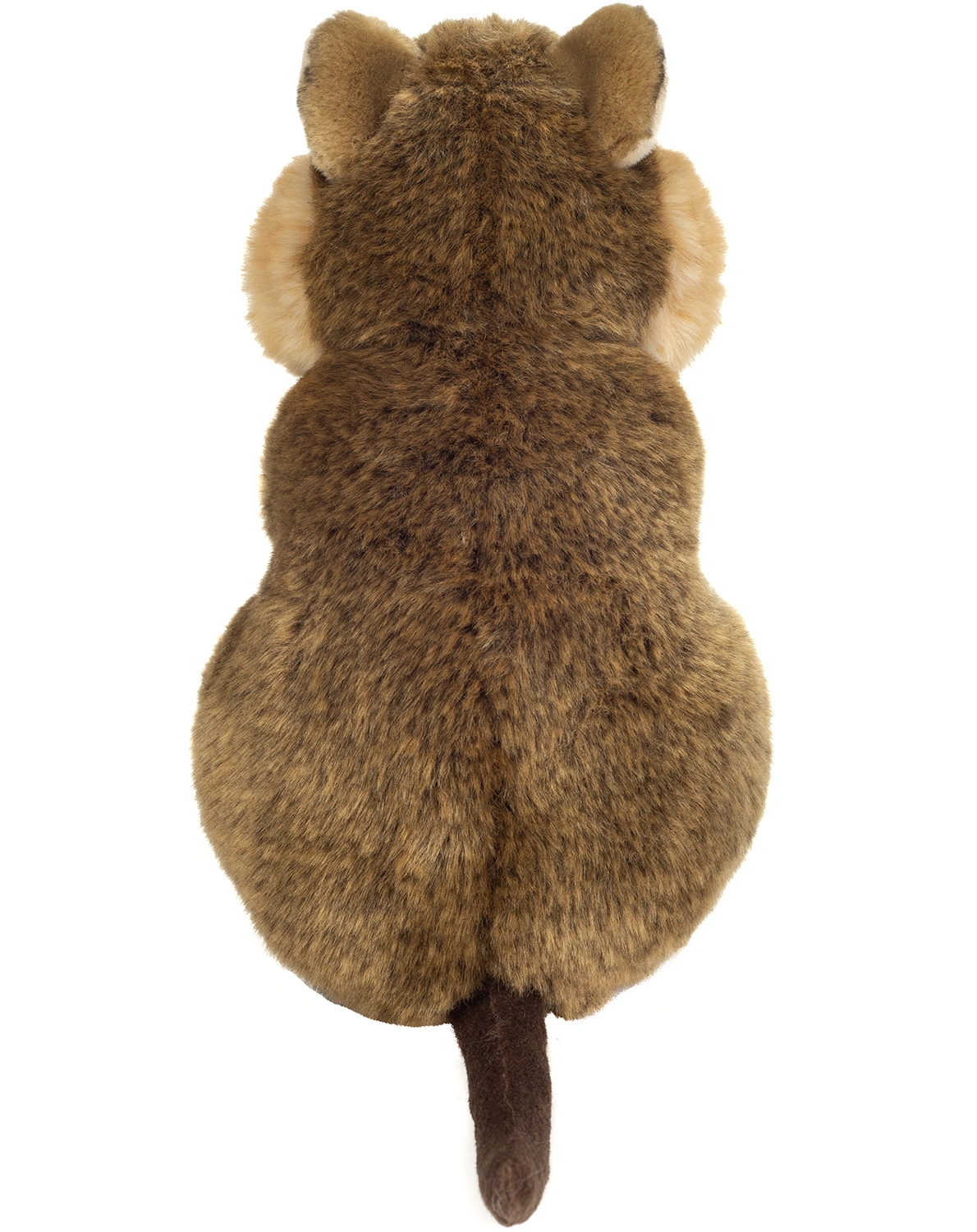 Kuscheltier QUOKKA (24 cm) in braun