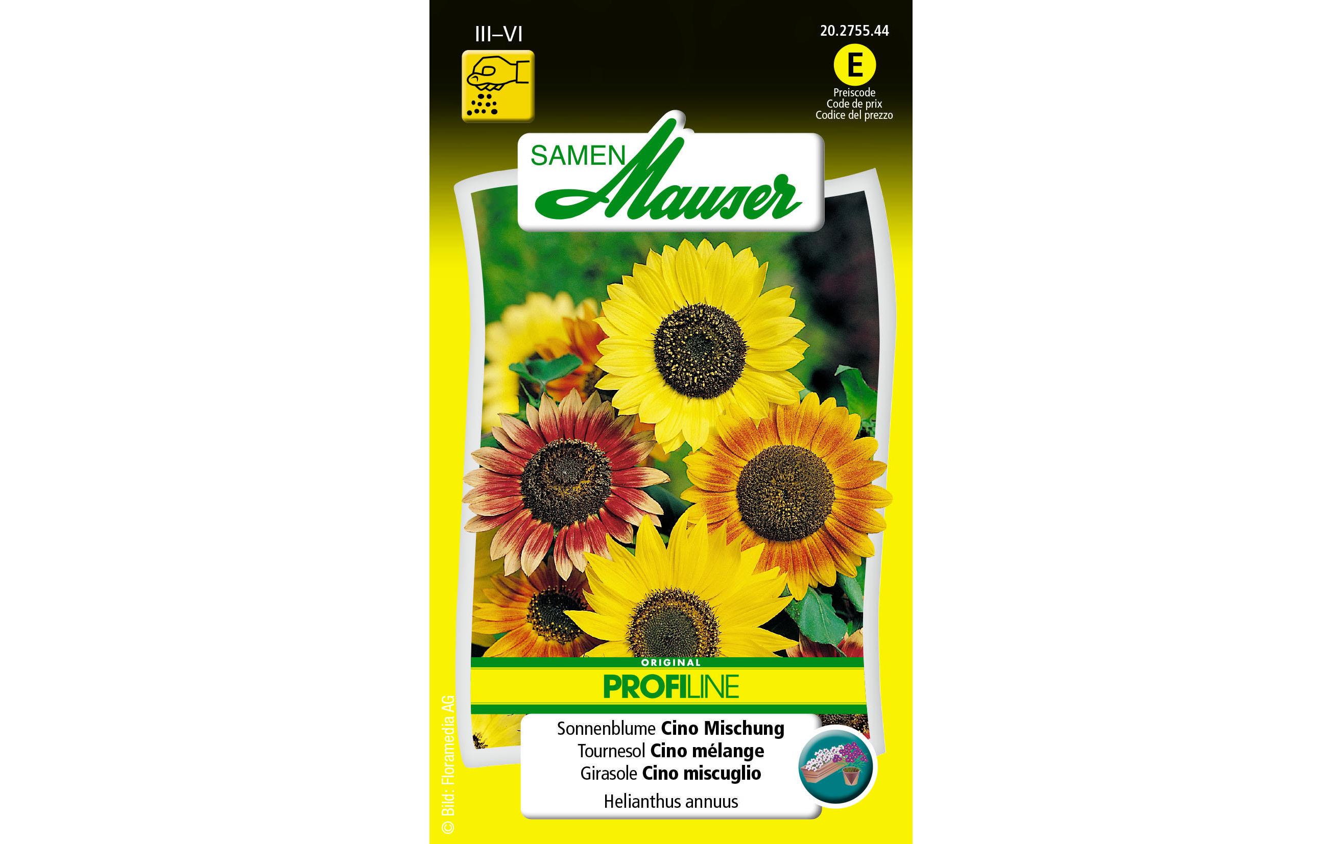 Saatgut Profiline Sonnenblume Cino Misch.Blütensamen