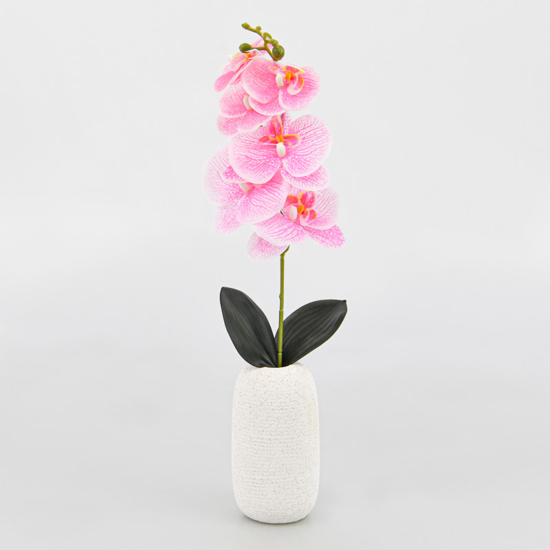 Orchidée en pot