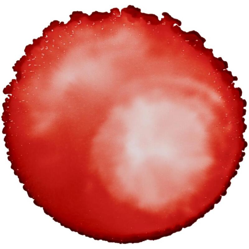 Cernit encre à l'alcool 20 ml Rouge feu - Rouge feu