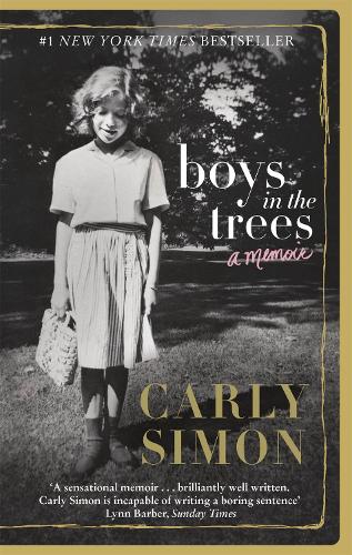 Boys in the Trees: A Memoir (Paperback)