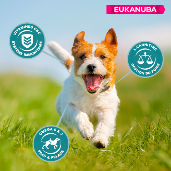 Croquettes Eukanuba Adulte Petites Races