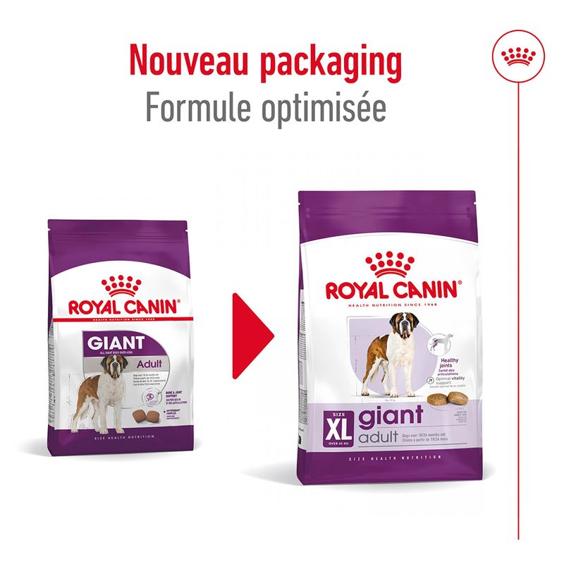 Royal Canin Giant Adult à prix discount sur bitiba.fr