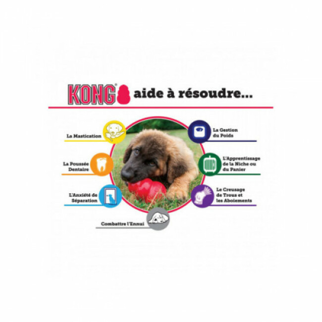 Brosse souple Zoom Groom KONG pour chien à poils longs - Bleu